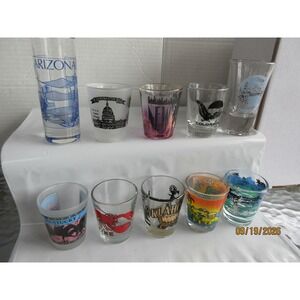 Vintage Souvenir Shot Glass Lot 10pc Arizona DC NY Colorado Oregon Maine Florida
